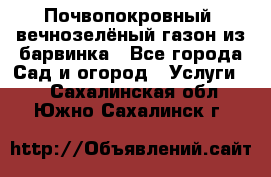 Почвопокровный, вечнозелёный газон из барвинка - Все города Сад и огород » Услуги   . Сахалинская обл.,Южно-Сахалинск г.
